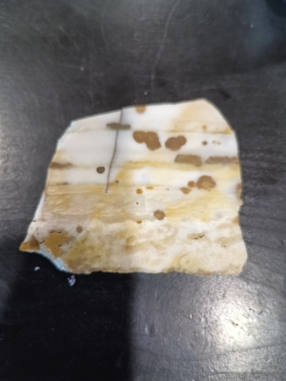 Polka Dot Agate Slice